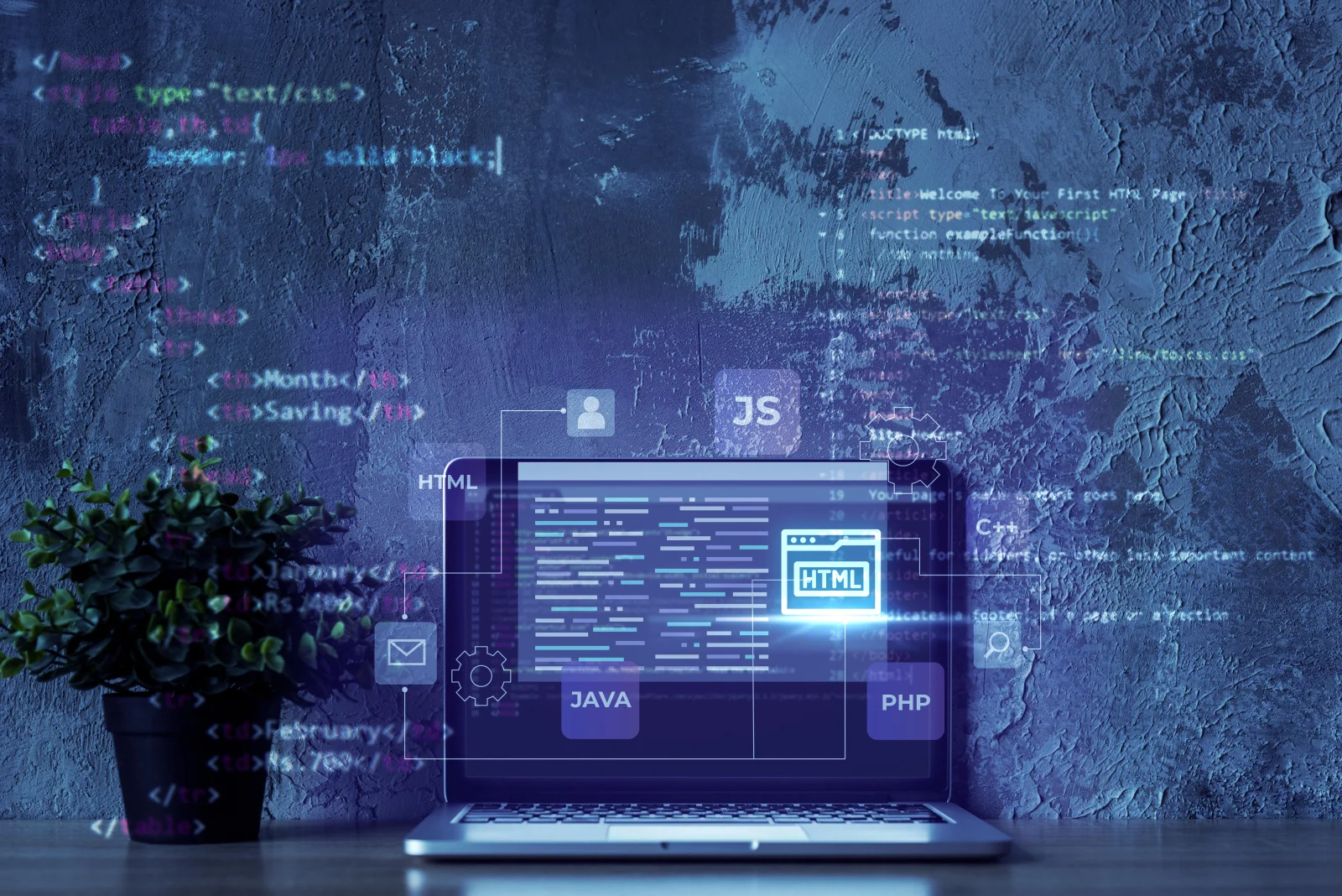 Web Yazılım